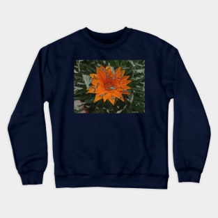 21 111902 Crewneck Sweatshirt